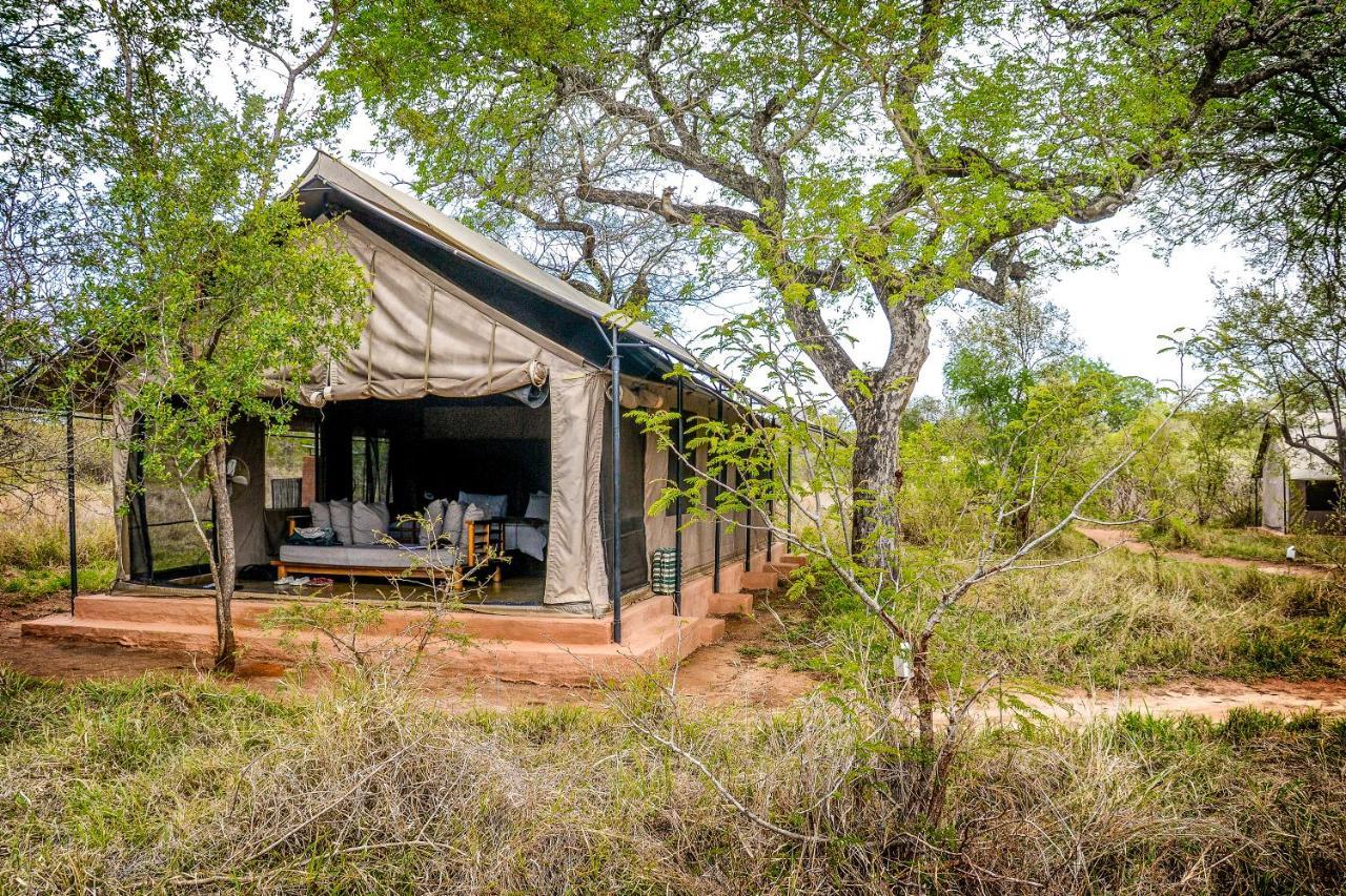Honeyguide Tented Safari Camp - Khoka Moya Manyeleti vadrezervátum Kültér fotó