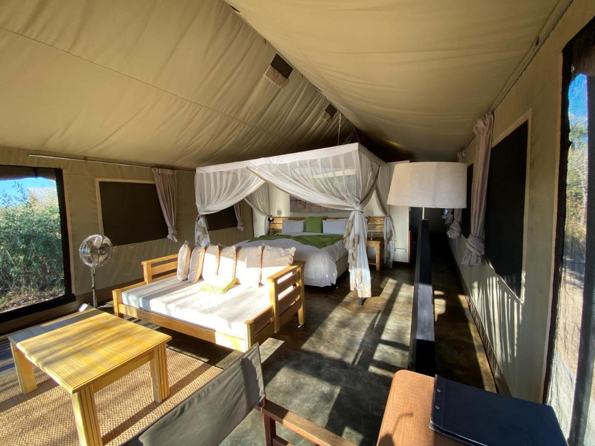 Honeyguide Tented Safari Camp - Khoka Moya Manyeleti vadrezervátum Kültér fotó