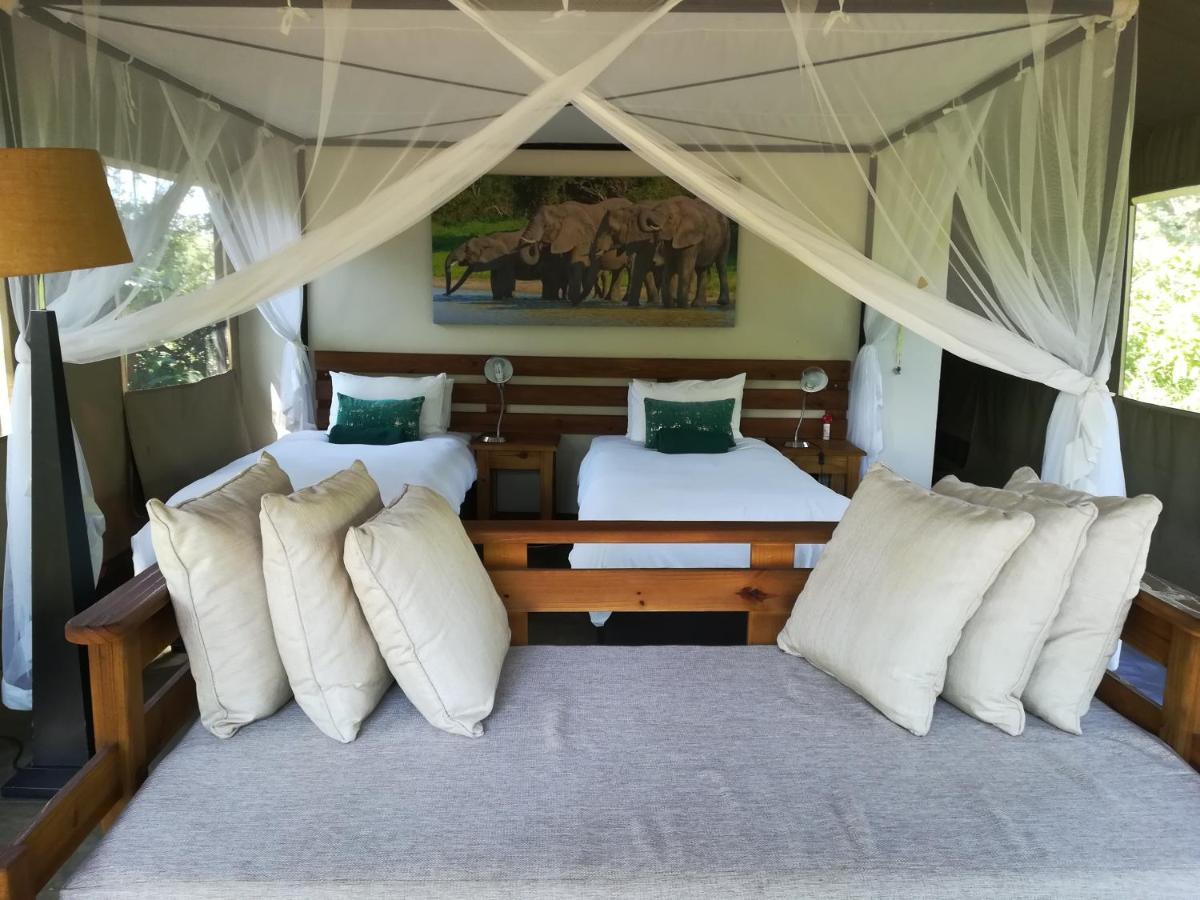 Honeyguide Tented Safari Camp - Khoka Moya Manyeleti vadrezervátum Kültér fotó