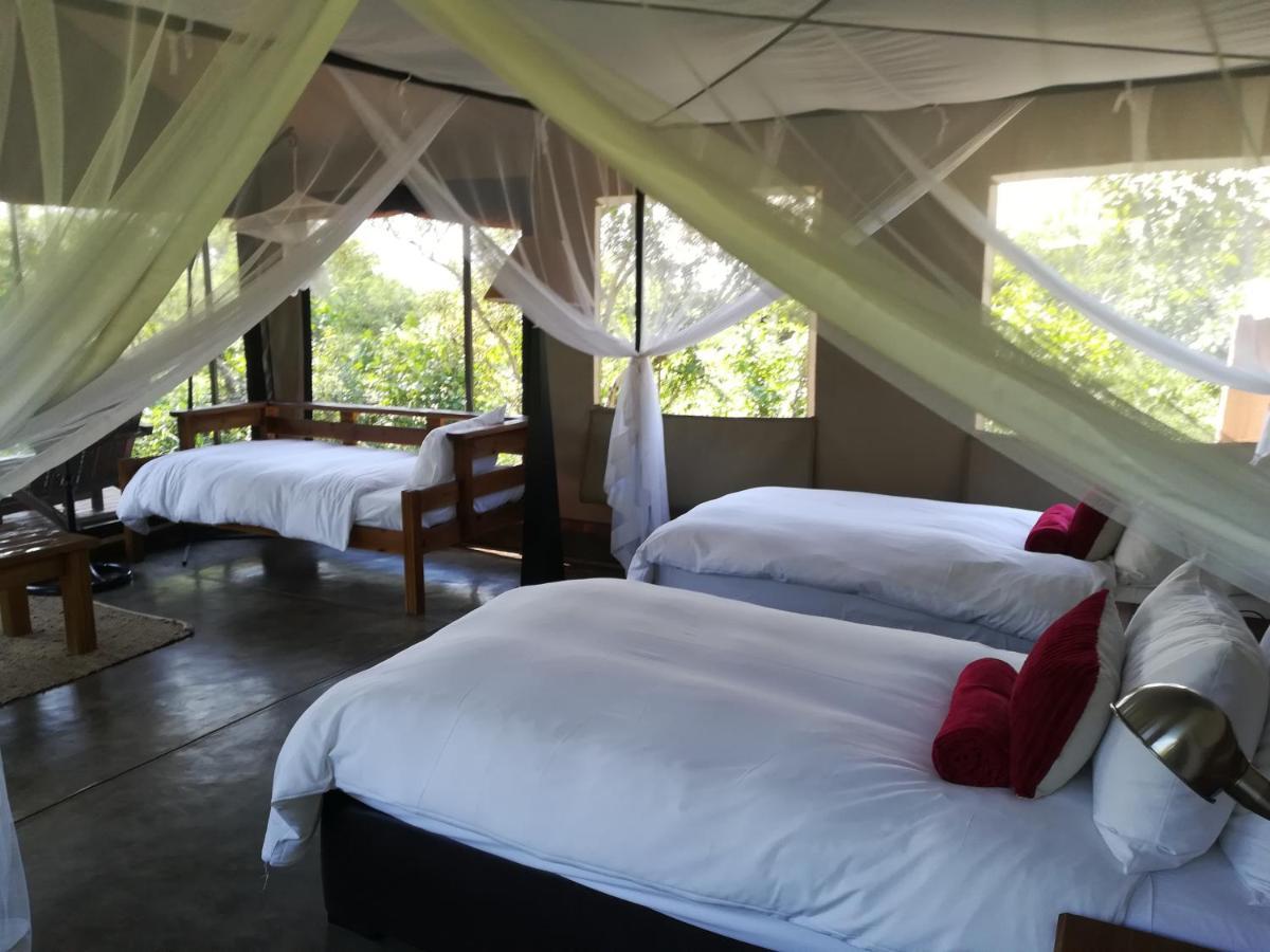 Honeyguide Tented Safari Camp - Khoka Moya Manyeleti vadrezervátum Kültér fotó