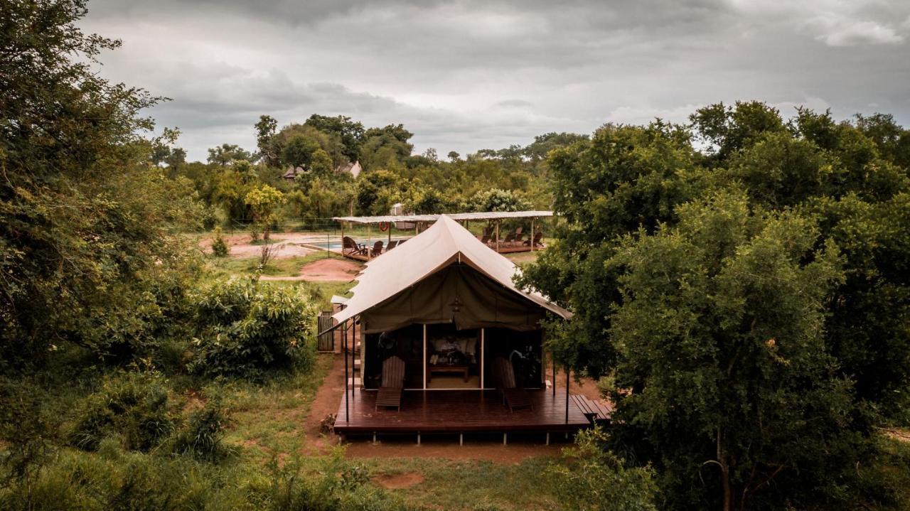 Honeyguide Tented Safari Camp - Khoka Moya Manyeleti vadrezervátum Kültér fotó
