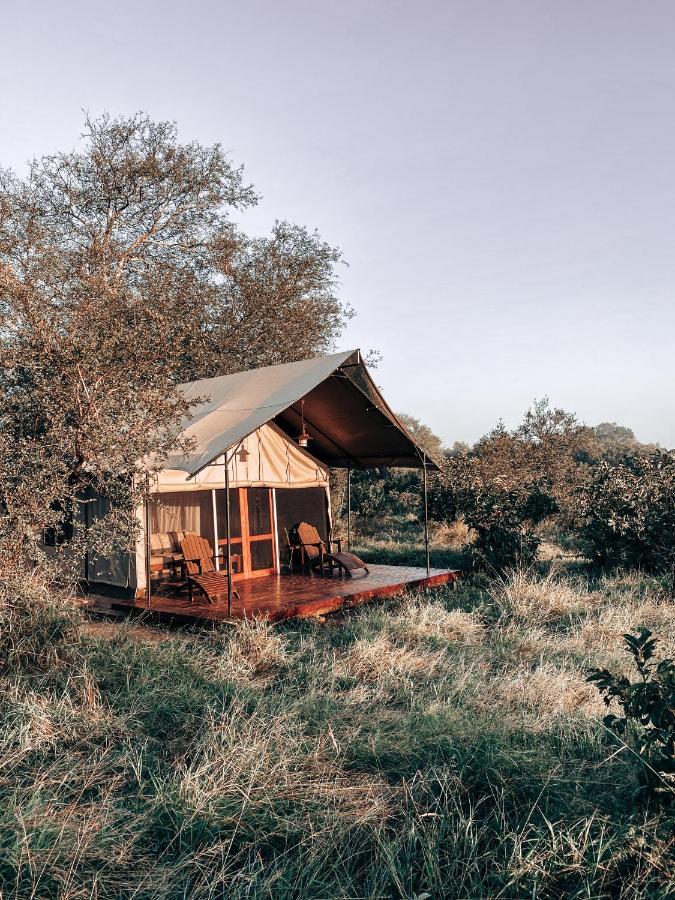 Honeyguide Tented Safari Camp - Khoka Moya Manyeleti vadrezervátum Kültér fotó