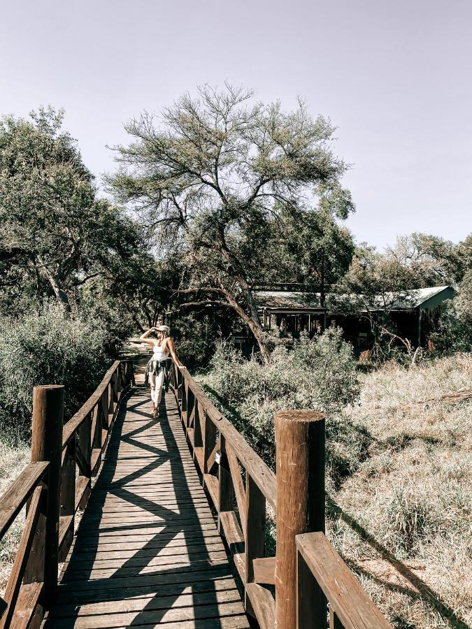 Honeyguide Tented Safari Camp - Khoka Moya Manyeleti vadrezervátum Kültér fotó