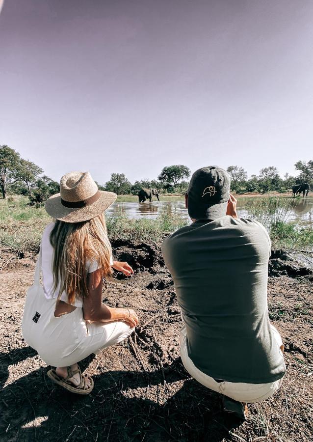 Honeyguide Tented Safari Camp - Khoka Moya Manyeleti vadrezervátum Kültér fotó
