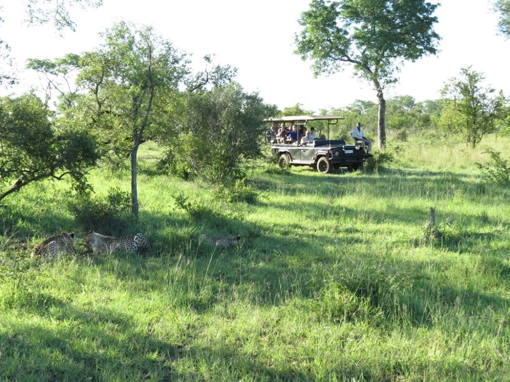 Honeyguide Tented Safari Camp - Khoka Moya Manyeleti vadrezervátum Kültér fotó