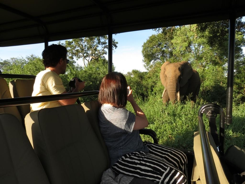 Honeyguide Tented Safari Camp - Khoka Moya Manyeleti vadrezervátum Kültér fotó
