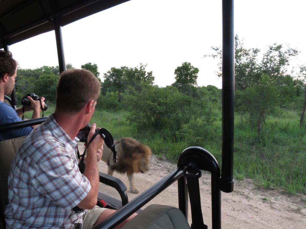 Honeyguide Tented Safari Camp - Khoka Moya Manyeleti vadrezervátum Kültér fotó