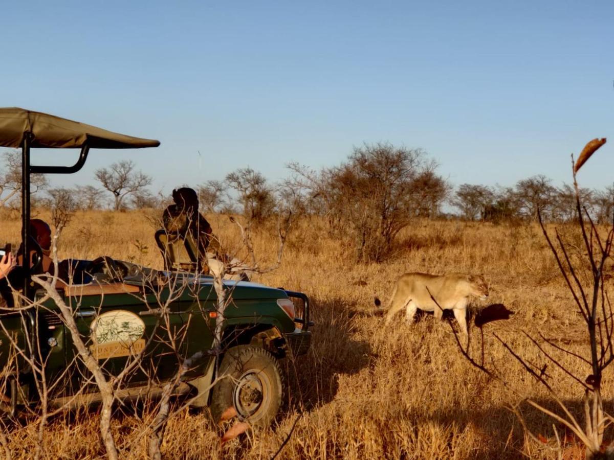 Honeyguide Tented Safari Camp - Khoka Moya Manyeleti vadrezervátum Kültér fotó